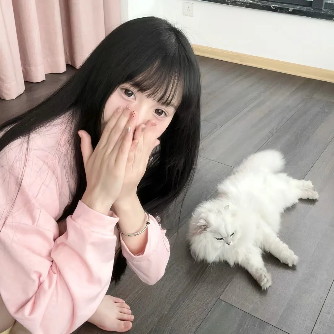 新青春梦里人