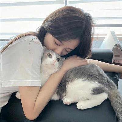 肚假情真